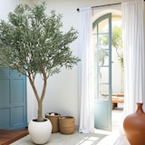 thumbnail of LIGNE DECO Olivier artificiel pot blanc 240cm