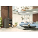 thumbnail of JOIMA - Estufa Policombustible Pellet-orujo-leña con Horno Modelo Eco Valle 12 kW