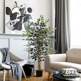 thumbnail of HOMCOM Ficus Artificial com Troncos Planta Artificial com Vaso e 702 Folhas Realistas para Ø15x130 cm Verde