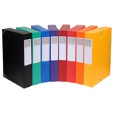 thumbnail of Exacompta - Réf. 19500H - 10 boites de classement Cartobox Dos 50mm Carte lustrée - A4 - Couleurs assorties