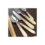 thumbnail of aladdin goldring, 24-teiliges besteckset, beiger griff, galeriebox, casa bugatti