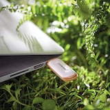 thumbnail of INTENSO Clé USB 3.2 Green Line 64 Gb