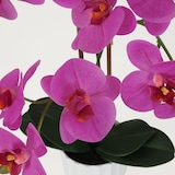 thumbnail of LIGNE DÉCO Orchidée artificielle fuchsia 50cm