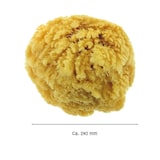 thumbnail of Naturschwamm Badeschwamm Meeresschwamm – Weich, saugfähig, langlebig, 3 Stück, Natur, ca. 140mm