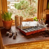 thumbnail of Anzuchtgewächshaus aus Kunststoff 348 x 233 x 112 mm