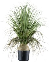 thumbnail of CREATIV green künstliche Pflanze Beaucarnea, 68cm