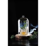 thumbnail of Campana de vidrio con ventilación, HENDI, Campana protectora para cócteles, ⌀150x(H)280mm