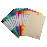 thumbnail of Exacompta - Réf. 18500H - 25 boites de classement Cartobox Dos 25mm Carte lustrée - A4 - Couleurs assorties