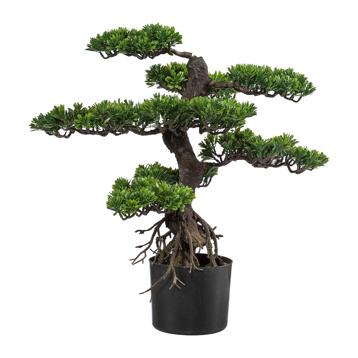 CREATIV green künstliche Pflanze Bonsai, ca 75cm, grün, Kunststoff, im Topf 17x14cm schwarz