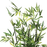 thumbnail of Plante artificielle Bambou en pot H 67 cm
