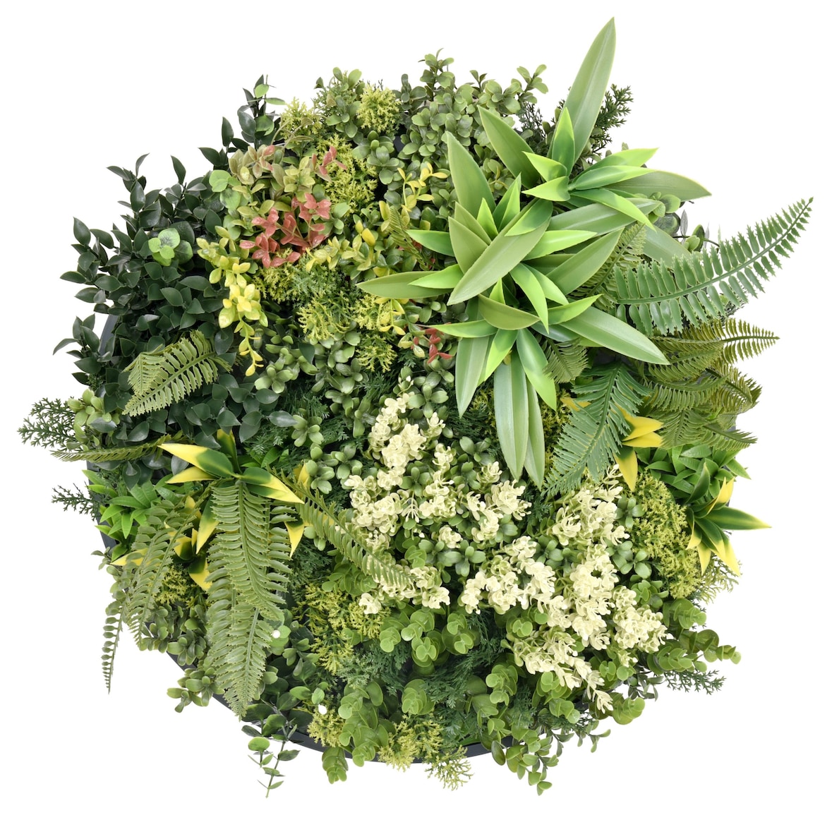 Bonerva | Jardín Vertical Artificial Seychelles | Pieza 50x50cm Con Marco| Planta artificial decoración oficina, hotel, restaurante| MAL1225