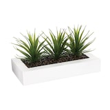 thumbnail of Atmosphera - Centro De Mesa - 3 Aloe Vera - Altura 17 Cm