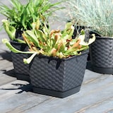 thumbnail of Prosperplast - RATOLLA SQUARE 6L Blumentopf – 22x22x18,9cm in der Farbe Mocca