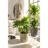 thumbnail of Scheurich Groove 14, Blumentopf/Pflanzkübel, rund, Farbe: Khaki, hergestellt mit recyceltem Kunststoff, 8 Jahre Garantie, für den Innenbereich