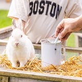 thumbnail of Spendendose mit Griff, HMF 45000-07, 14,5 x 8 cm, Lichtgrau