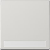 thumbnail of Jung Wippe Schriftfeld lgr LS 990 NA LG LS990NALG