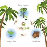 thumbnail of onlyleaf 25 Stück Einwegteller 15x15 cm Palmblatt-Teller, quadratisch, biologisch abbaubar, umweltfreundlich, kompostierbar, Wegwerfteller