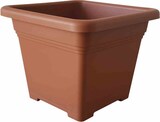 thumbnail of SIENA GARDEN  Quadro Topf Quadro 48x48x38,2 cm, terracotta
