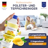 thumbnail of Sommertal Polsterreiniger und Teppichreiniger, 2L Profi Konzentrat, für über 40 Waschvorgänge, geeignet für Sofa, Polster, Auto Sitze