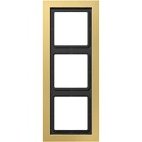 thumbnail of Jung Rahmen 3fach Mess/clas MED 2983 C MED2983C