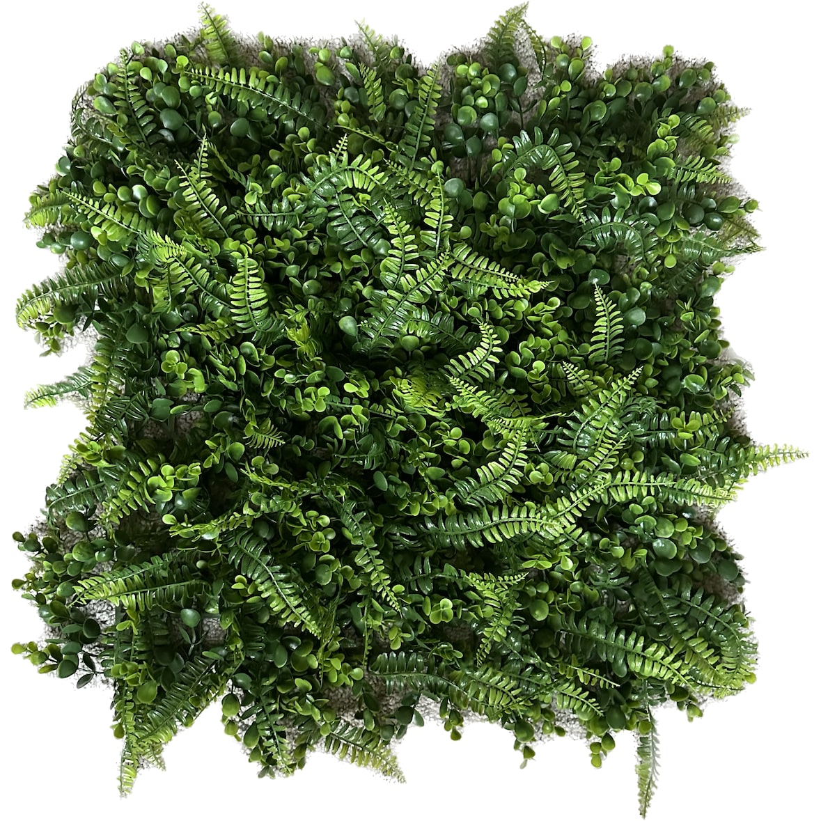 GeckoWall “LAGOS” | Pared de plantas de la selva premium | Revestimiento de paredes para hostelería plantas artificiales | Paneles de pared tropical
