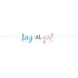 thumbnail of Babyparty Deko neutral Junge Mädchen Partyset  Boy or Girl