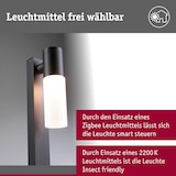 thumbnail of Paulmann Borne lumineuse Tralia IP44  650mm  max. 10W  230V  Anthracite E27 Aluminium 94788