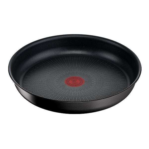 TEFAL poêle aluminium 24cm L3970403