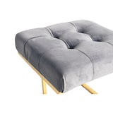 thumbnail of Hocker Zinnia 100 Grau