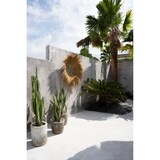thumbnail of Bazar Bizar Miroir en herbe 90x90x22 cm naturel