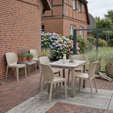 thumbnail of CLP 6er Set Gartenstühle Nora Kunststoff HBT: 80x58x59 cm taupe