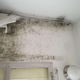 thumbnail of Tinta Térmica Anti-condensação para Interiores (15l, Branco) - Quebra as pontes térmicas, evita a condensação, paredes frias e perdas de calor