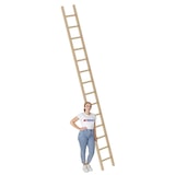 thumbnail of PROREGAL Sprossen-Anlegeleiter Holz ohne Traverse 14 Sprossen
