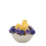thumbnail of Küken sitzend in Eierschale