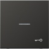 thumbnail of Jung Wippe Symbol TÜR anth AL 2990 KO5 T AN AL2990KO5TAN