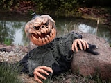thumbnail of Kürbismonster - bewegte 50cm Halloween Figur mit Licht und Geräuschen