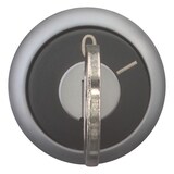 thumbnail of Eaton Schlüsseltaste M22-WRS-MS7 111788