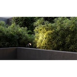 thumbnail of Foco LED redondo ZAS de 7 W IP65, color negro, de Beneito Faure