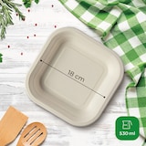 thumbnail of TreePack - Piatti compostabili monouso da 50Pz in Canna da Zucchero Capacità 530 ml, Piatti Biodegradabili per Microonde resistono da -18 °C a +200 °C