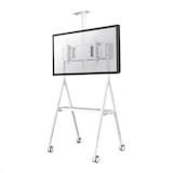 thumbnail of Neomounts NS-M1500WHITE mobiler Videokonferenz Ständer bis 65 Zoll, weiß