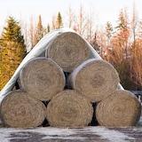 thumbnail of ECD Germany Abdeckplane Gewebeplane mit Ösen 6x10m 60m² 260g/m² Weiß aus Polyethylen Schimmelresistent Wasserdicht Reißfest Schutzplane Bootsplane