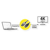 thumbnail of ROLINE DisplayPort Kabel DP - UHDTV, M/M, zwart, 1 m