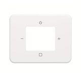 thumbnail of Busch-Jaeger Zentralscheibe 8252-24G-101 2CKA008200A0245