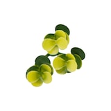 thumbnail of Bonerva | Jardín Vertical Sinica Amarillo | Pack 4 Piezas 50x50cm (1m²)| Planta artificial decoración de restaurante y oficina | MAL1208