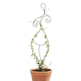 thumbnail of DanDiBo Rankhilfe Kletterhilfe Metall Schwarz 140 cm Bodenstecker Frau Lora Gartenstecker Rankgitter Kletterpflanzen Blumenhalter Ranksäule