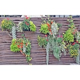 thumbnail of 6 x Blumentopf Hängetopf Pflanztopf Hängetöpfe Blumen Topf Kräutertopf Zink