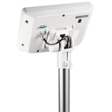 thumbnail of Bilancia a piattaforma capacità 30 Kg - Kern