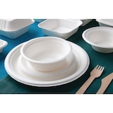 thumbnail of Assiettes en bagasse compostables Fiesta Compostable 26 cm (x50)
