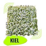 thumbnail of GeckoWall "KIEL" | Premium Blüten weiß Pflanzenwand  | Gastronomie Blumenwand Wandverkleidung | weiße Kunstpflanzen Wandmontage |Wandpaneele künstlich