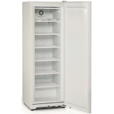 thumbnail of Congelador Vertical Blanco 255l, 105W, 600x650x1770mm